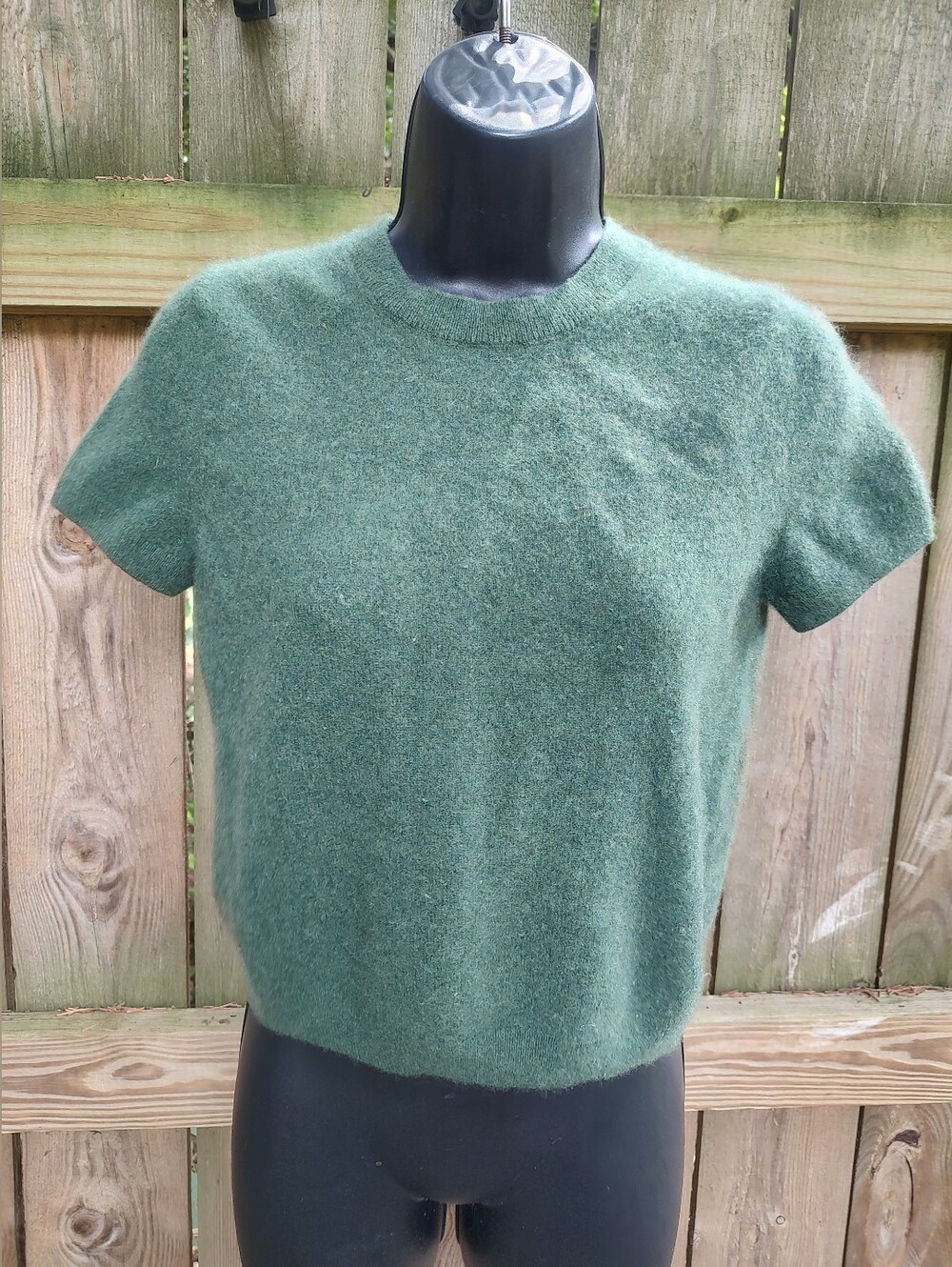 🏵️ Quince Mongolian Cashmere Women XS Crew Neck Short Sleeve Sweater Green READ